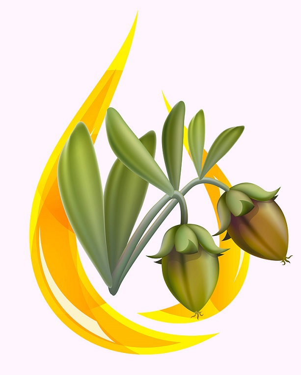 Muhteşem joker: Jojoba&nbsp;yağı