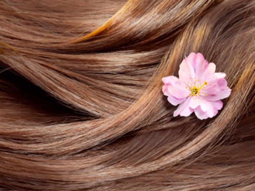 Bilim ve Doğanın Gücünün Kullanıldığı Saç Bilim Merkezi: Akademi Saç Terapi