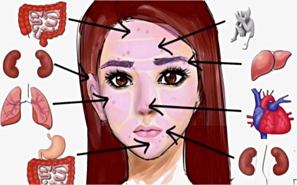 Sağlığınızı Yüzünüzden Okuyun