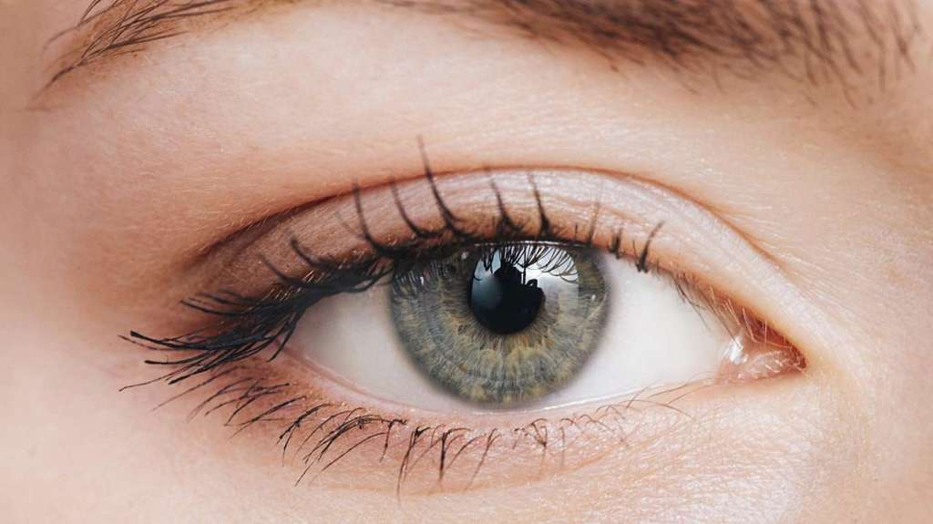 Göz Kremi Kullanmak Gerekli Mi