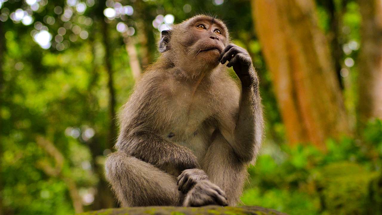 Hayatınızı İyileştirecek 3 Adım