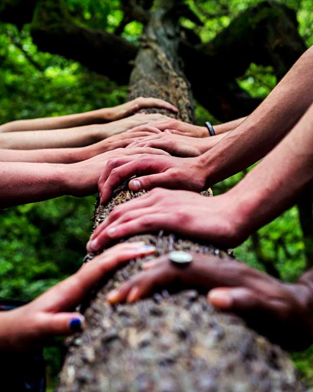 Farkındalık Dünyayı Nasıl Dönüştürebilir