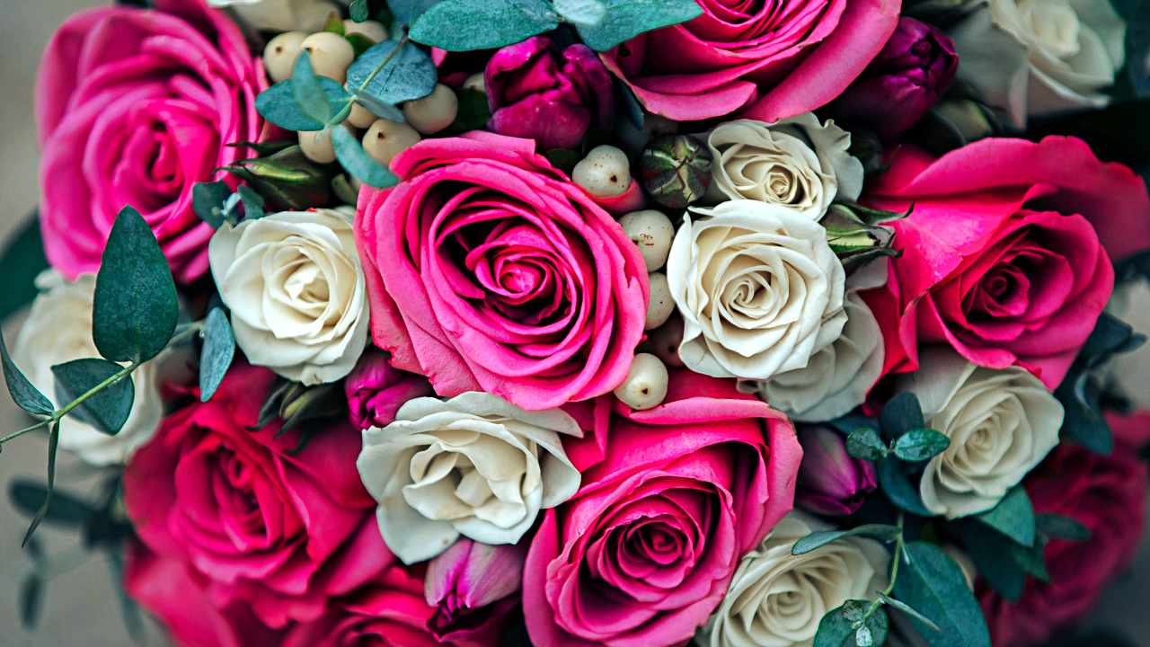 Amaç Odaklı Yaşam Üzerine