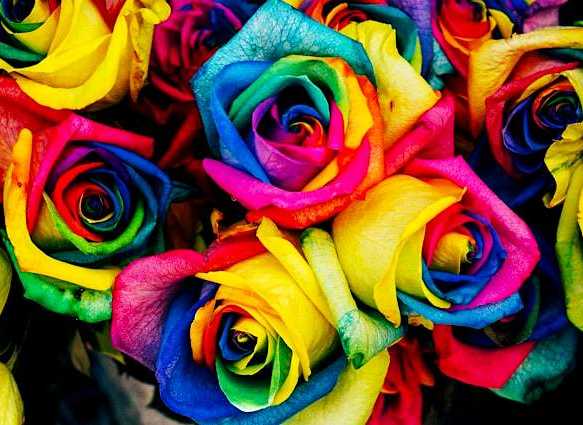 Özgün Düşüncenin Gücü